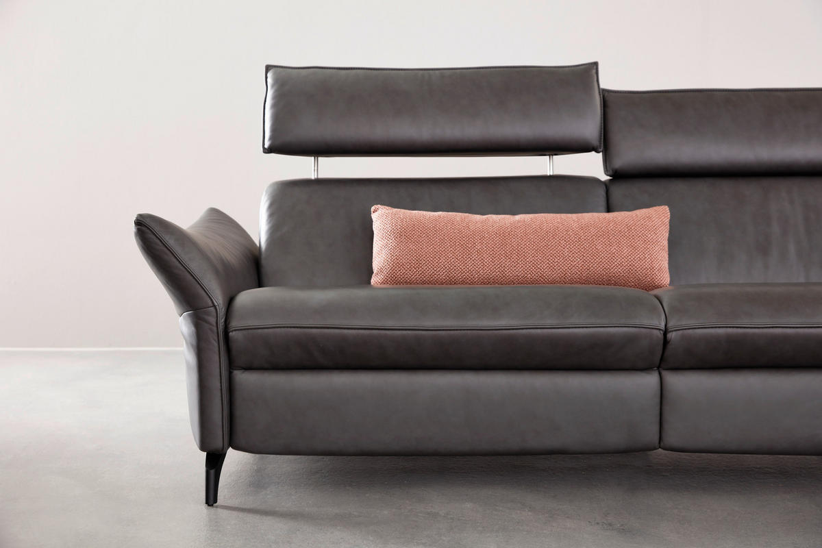 SOFA Echtleder Grau  - Edelstahlfarben/Grau, Design, Leder/Metall (194/94/95cm) - Himolla