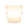 WANDLEUCHTE 19,5/9,5/19,5 cm - Opal, KONVENTIONELL, Glas/Metall (19,5/9,5/19,5cm) - Novel