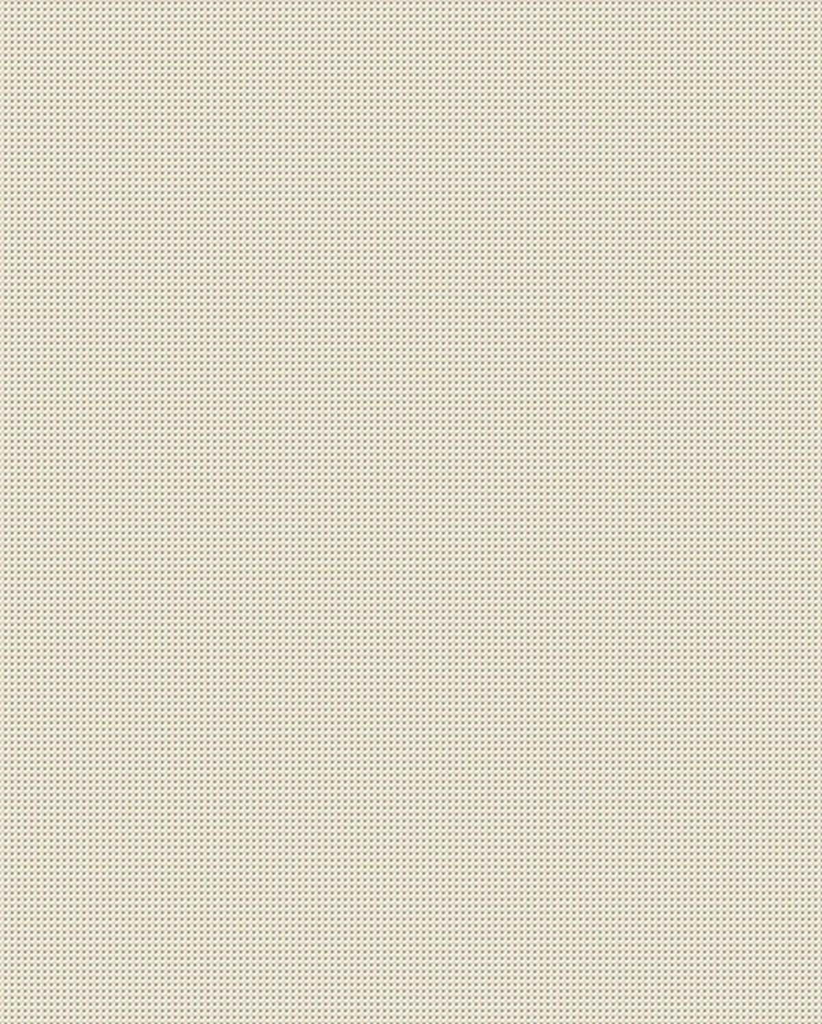 SÍKSZÖVÖTT SZŐNYEG  Country  - szürkésbézs, Konventionell, textil (120/170cm) - Boxxx