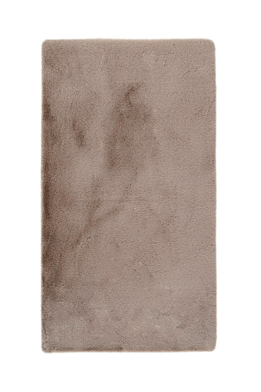 HOCHFLORTEPPICH 50/90 cm Rabbit Light 225 Dunkelbeige  - Beige, Konventionell, Kunststoff/Textil (50/90cm)