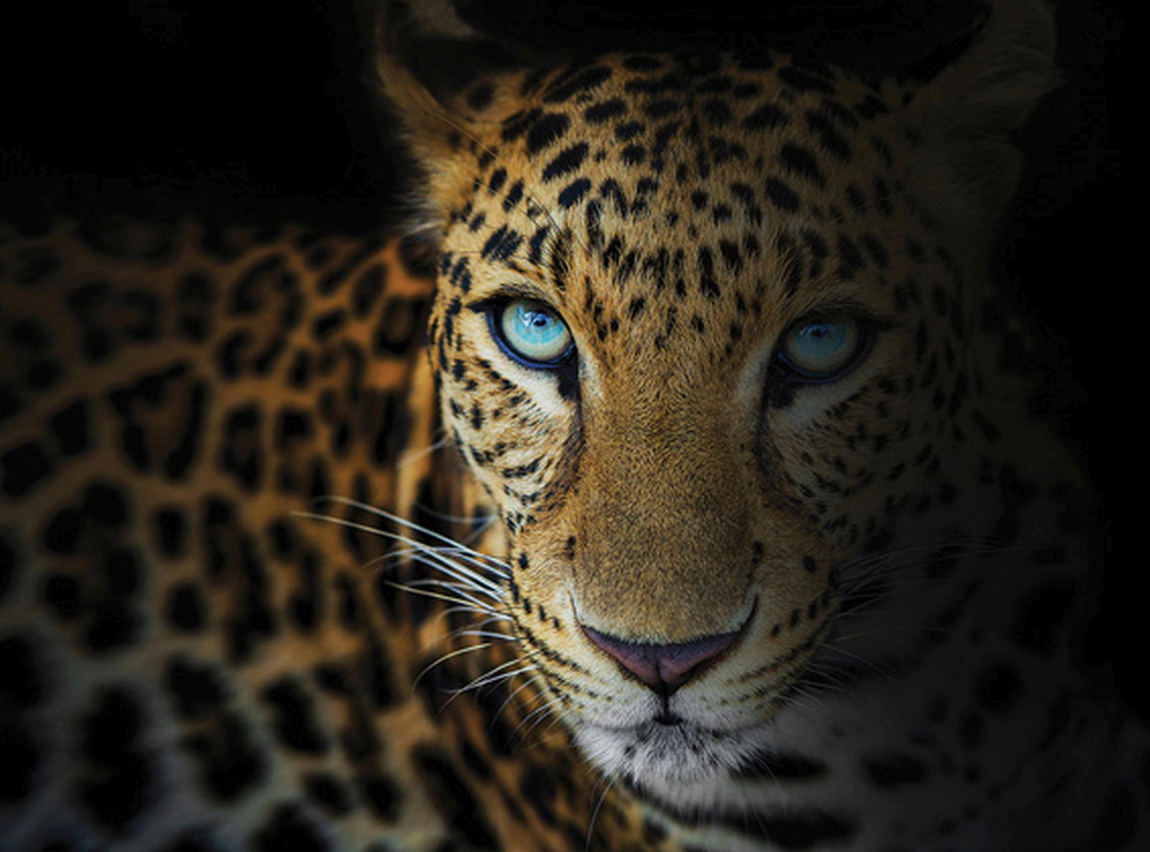 Keilrahmenbild 135/100 cm