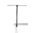 LED-KLEMMLEUCHTE 80/35/71,5 cm   - Schwarz, Basics, Kunststoff/Metall (80/35/71,5cm) - Novel