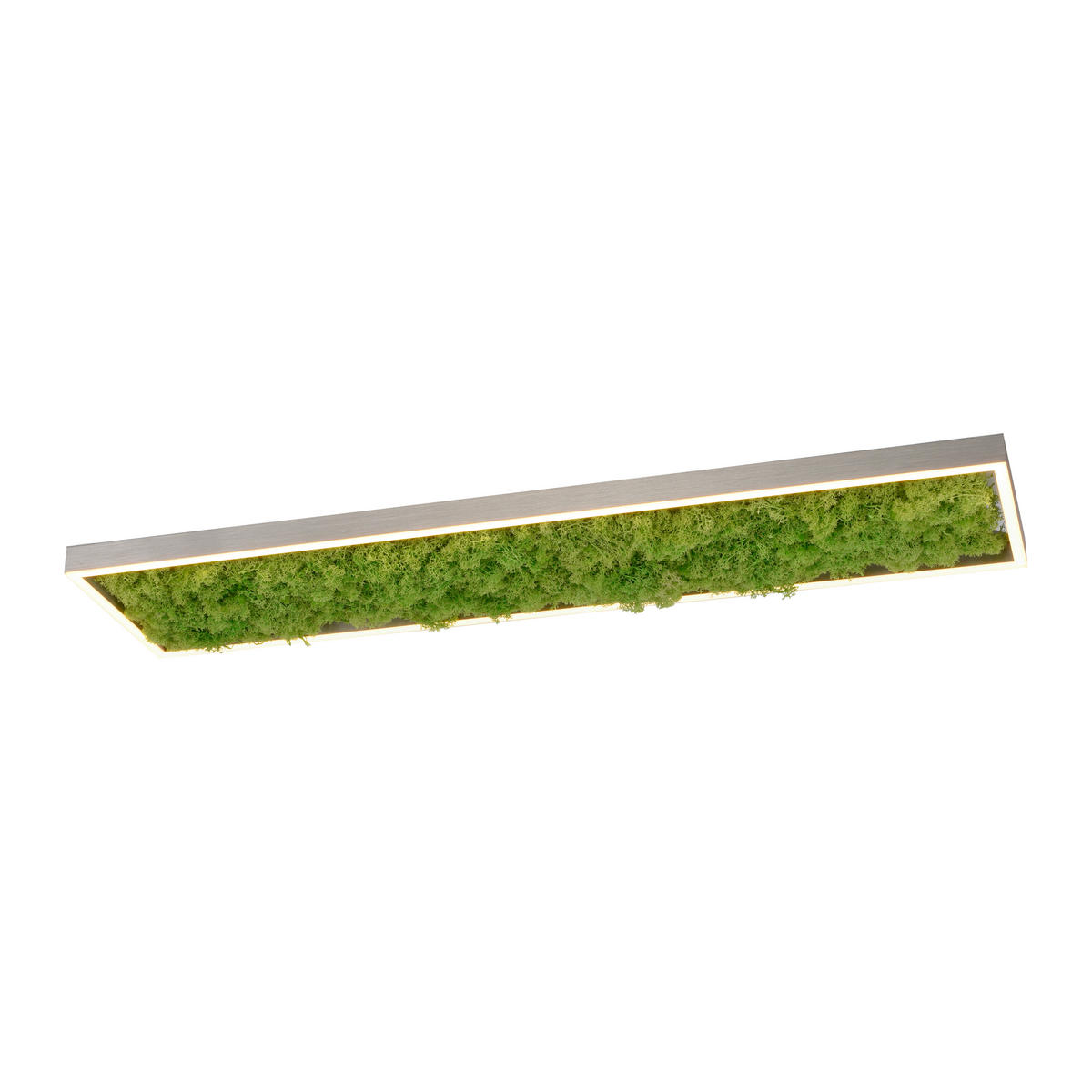 LED-DECKENLEUCHTE Green Knut 100/25/5,6 cm   - Natur, Naturmaterialien/Kunststoff (100/25/5,6cm)
