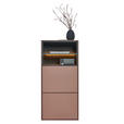 SCHUHSCHRANK RENO  in 55/118/41 cm  - Graphitfarben/Braun, Design, Holzwerkstoff (55/118/41cm) - Voleo