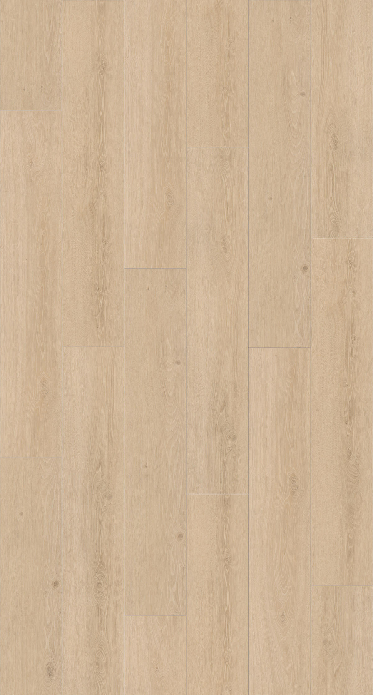 DESIGNBODEN BASIC 30 1601336  per  m² - Eichefarben/Braun, Design, Holzwerkstoff/Kunststoff (120,7/21,6/0,94cm) - Parador