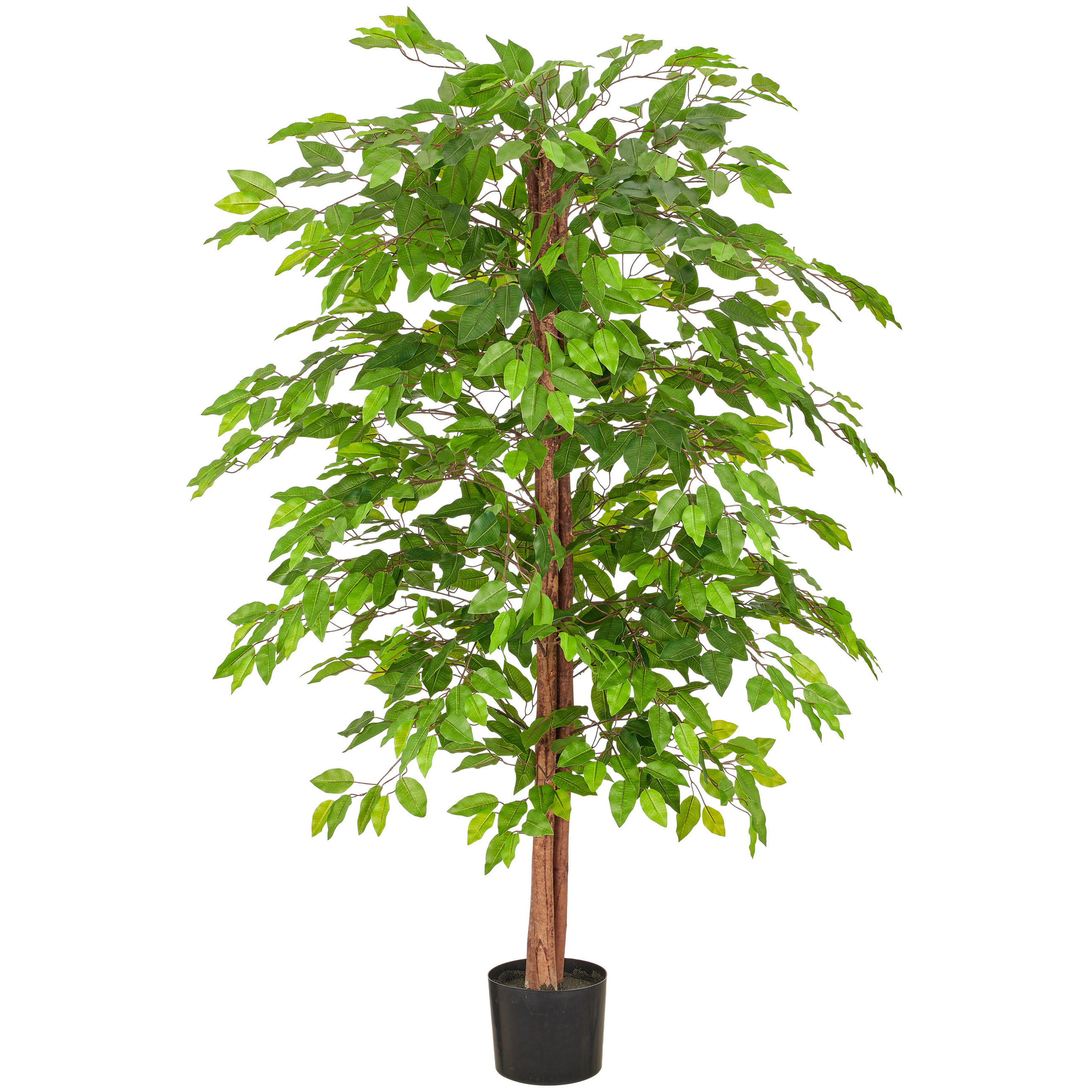 KUNSTPFLANZE Ficus Benjamina  - Schwarz/Braun, Basics, Kunststoff (160cm)