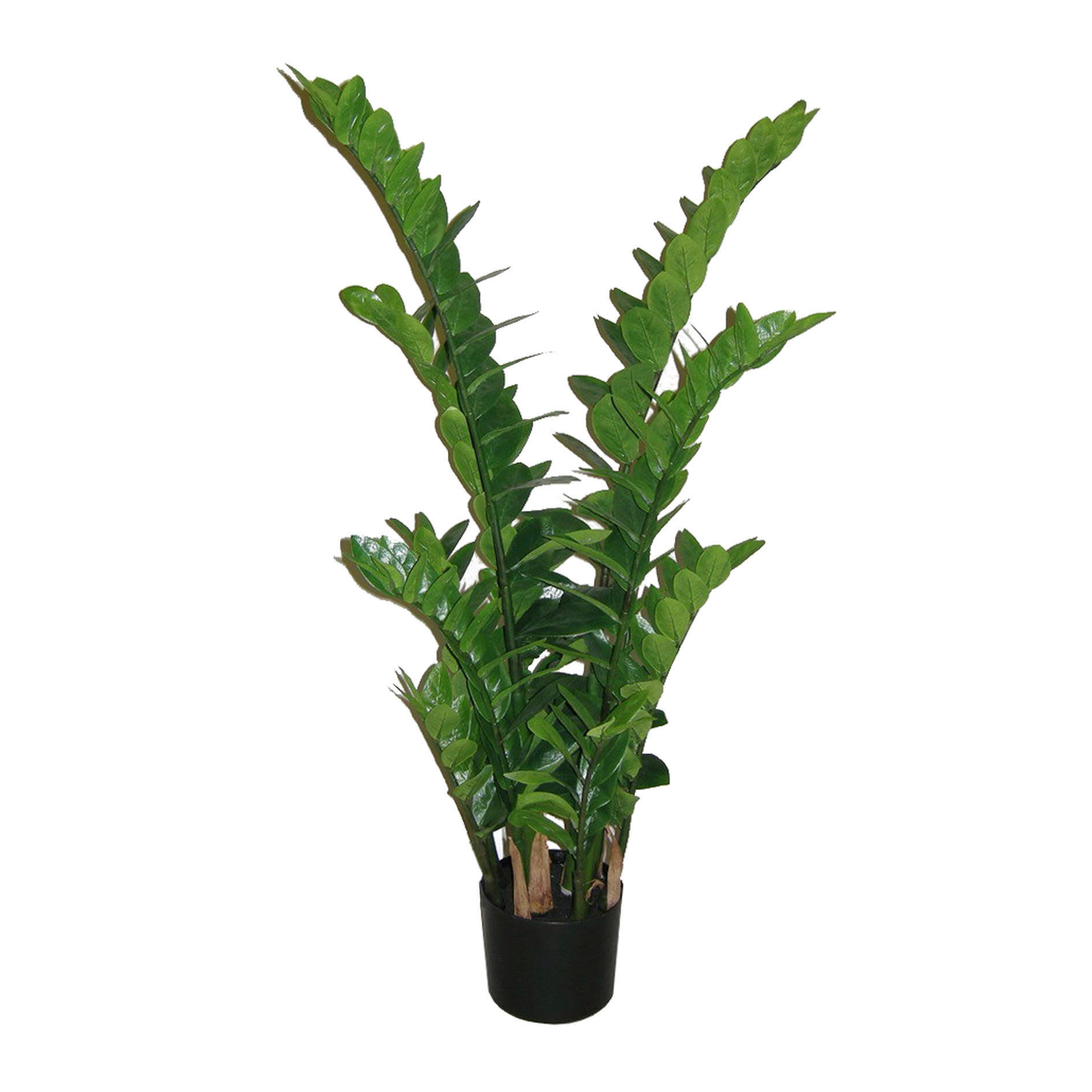 ZAMIFOLIA 110 cm  - Schwarz/Grün, Trend, Kunststoff (110cm)