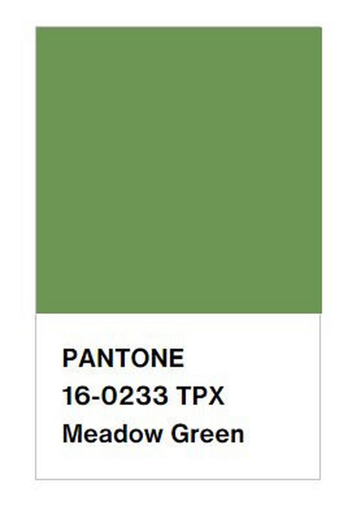 POSTELJINA 140/200 cm muslin zelena  - zelena, Osnovno, tekstil (140/200cm) - Esposa