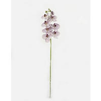 MŰNÖVÉNY - lila/zöld, Basics, műanyag