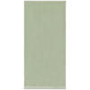 HANDTUCH 50/100 cm Hellgrün  - Hellgrün, Trend, Textil (50/100cm) - S. Oliver