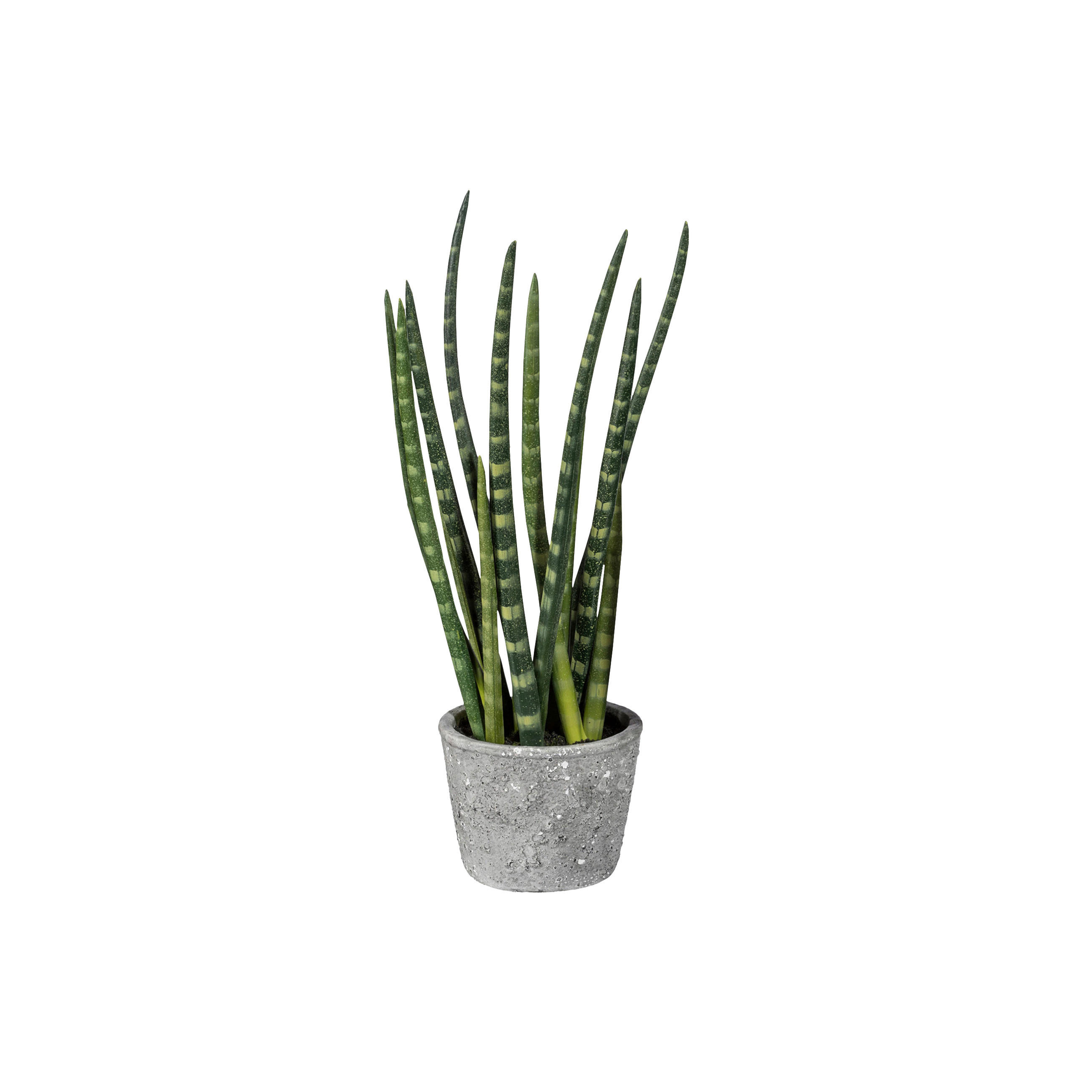XXXLutz Kunstpflanze Grün, Gelb, Grau 45 cm