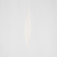 STORE per lfm  - Creme, Basics, Textil (300cm) - Esposa