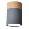 TAKLAMPA Tuba 6.8/6.8/10 cm  - blågrå, Natur, metall (6.8/6.8/10cm)