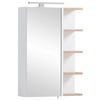 SPIEGELSCHRANK 50/74,4/16 cm  - Weiß, MODERN, Glas/Holzwerkstoff (50/74,4/16cm) - MID.YOU