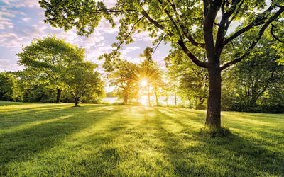 Komar Vliestapete Golden Moment Blau, Grün 400x250 cm