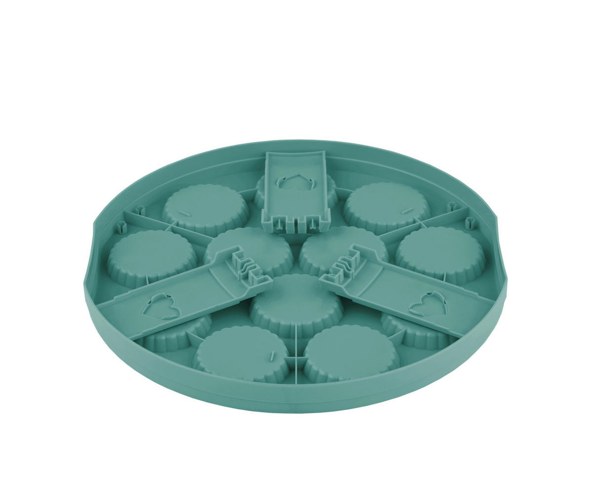 KUCHENTRANSPORTBOX - Transparent/Grün, Basics, Kunststoff (35,5/34,5/26cm) - Rotho