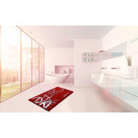 BADTEPPICH Colani 23 Rot 60/100 cm  - Rot, Basics, Kunststoff/Textil (60/100cm) - Grund