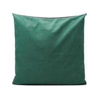 KISSENHÜLLE 50/50 cm  - Salbeigrün, Basics, Textil (50/50cm) - Novel