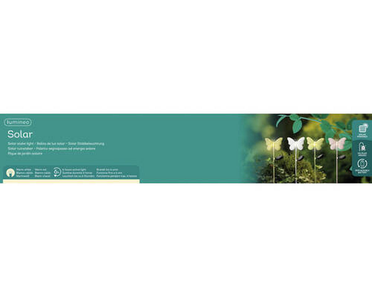 SOLARLEUCHTE - Basics (16/5/81cm)