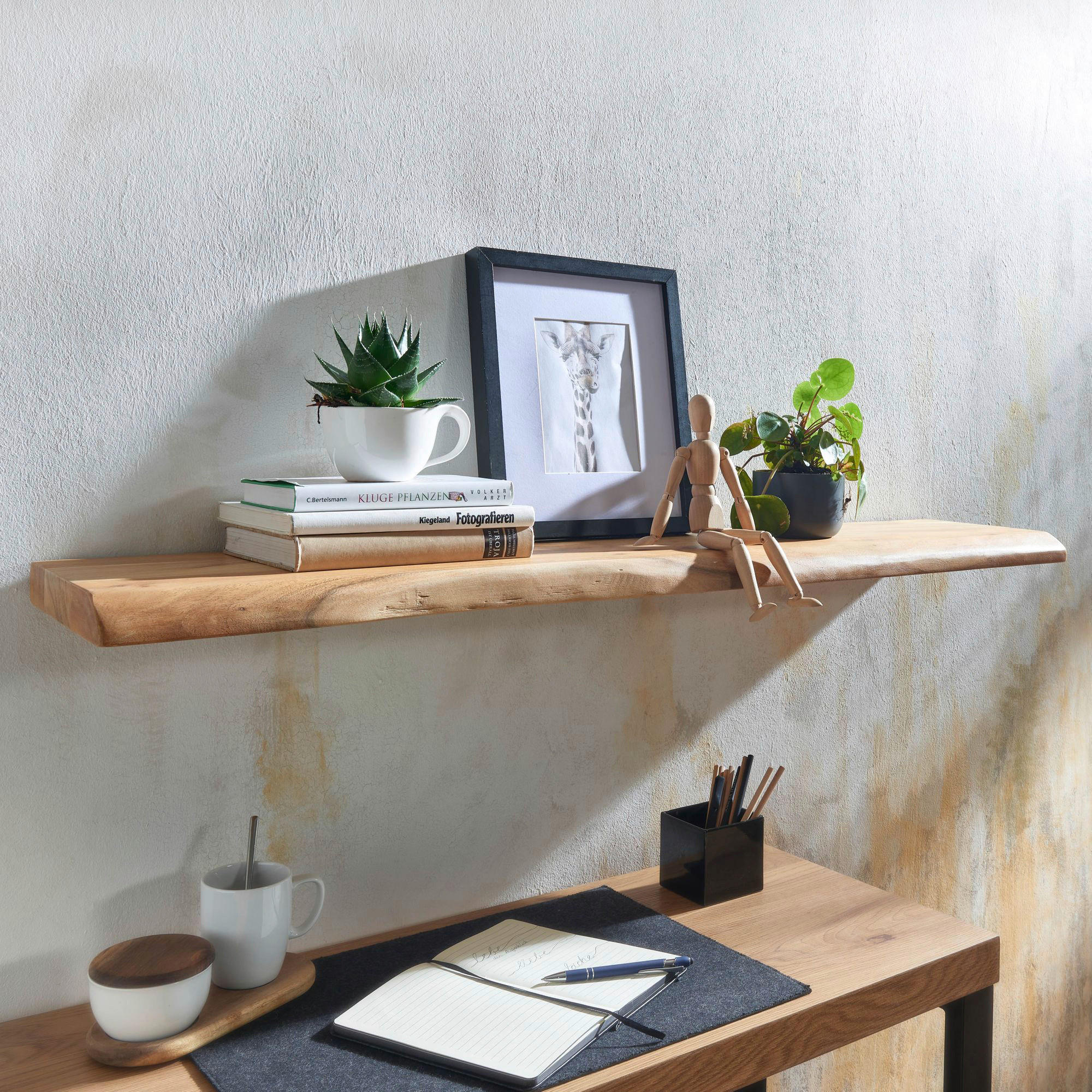 WANDREGAL 120/4/26 cm - Akaziefarben, Modern, Holz (120/4/26cm) - MID.YOU