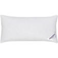 3-KAMMER-POLSTER 60/40 cm   - Basics (60/40cm) - Sleeptex