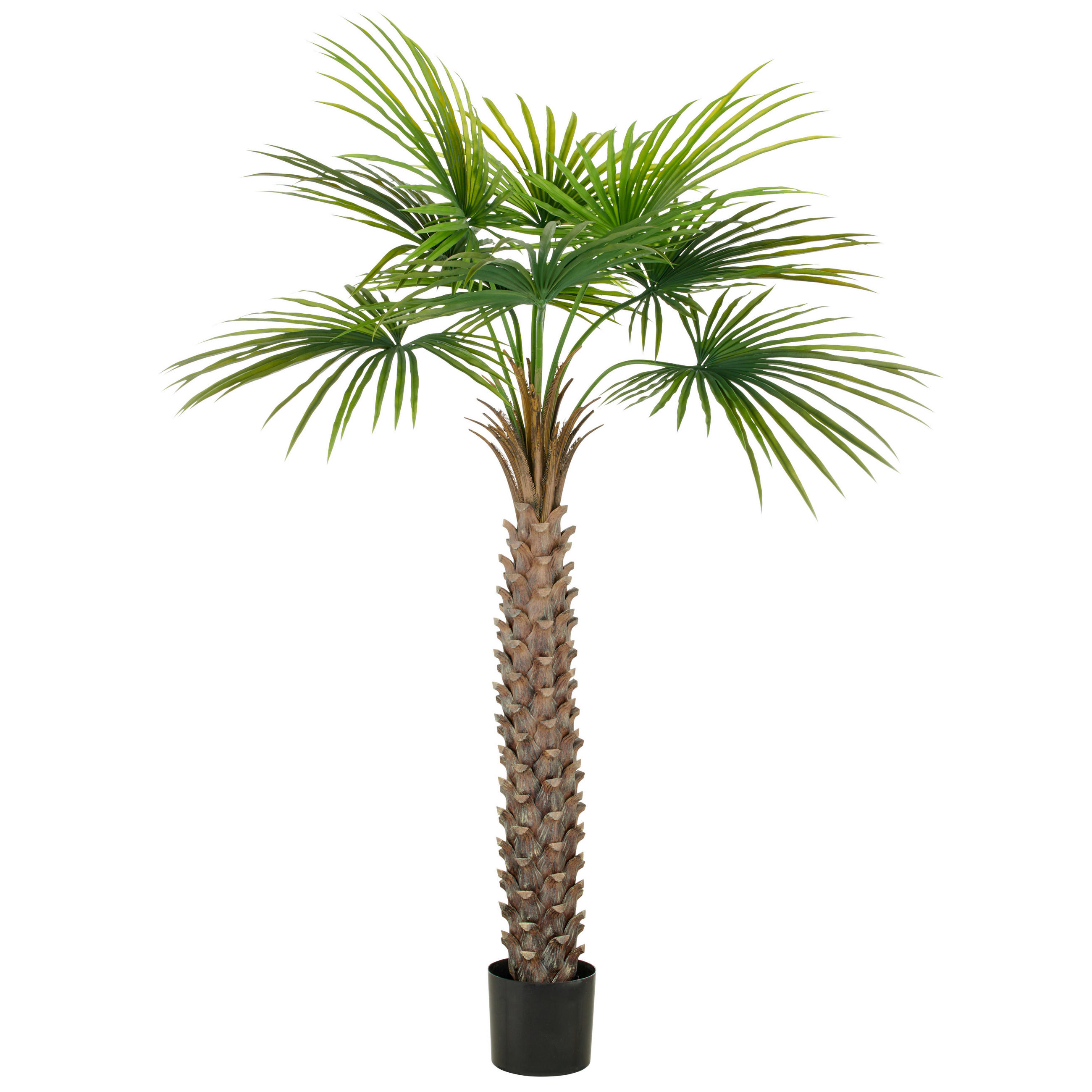 KUNSTPFLANZE Palme 175 cm  - Schwarz/Braun, Basics, Kunststoff (175cm) - P & B