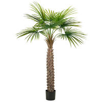 KUNSTPFLANZE Palme 175 cm  - Schwarz/Braun, Basics, Kunststoff (175cm) - P & B