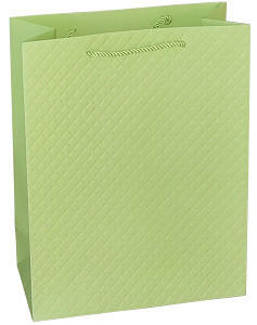 GESCHENKTASCHE  - Hellgrün, Basics, Papier (26/32/12cm)