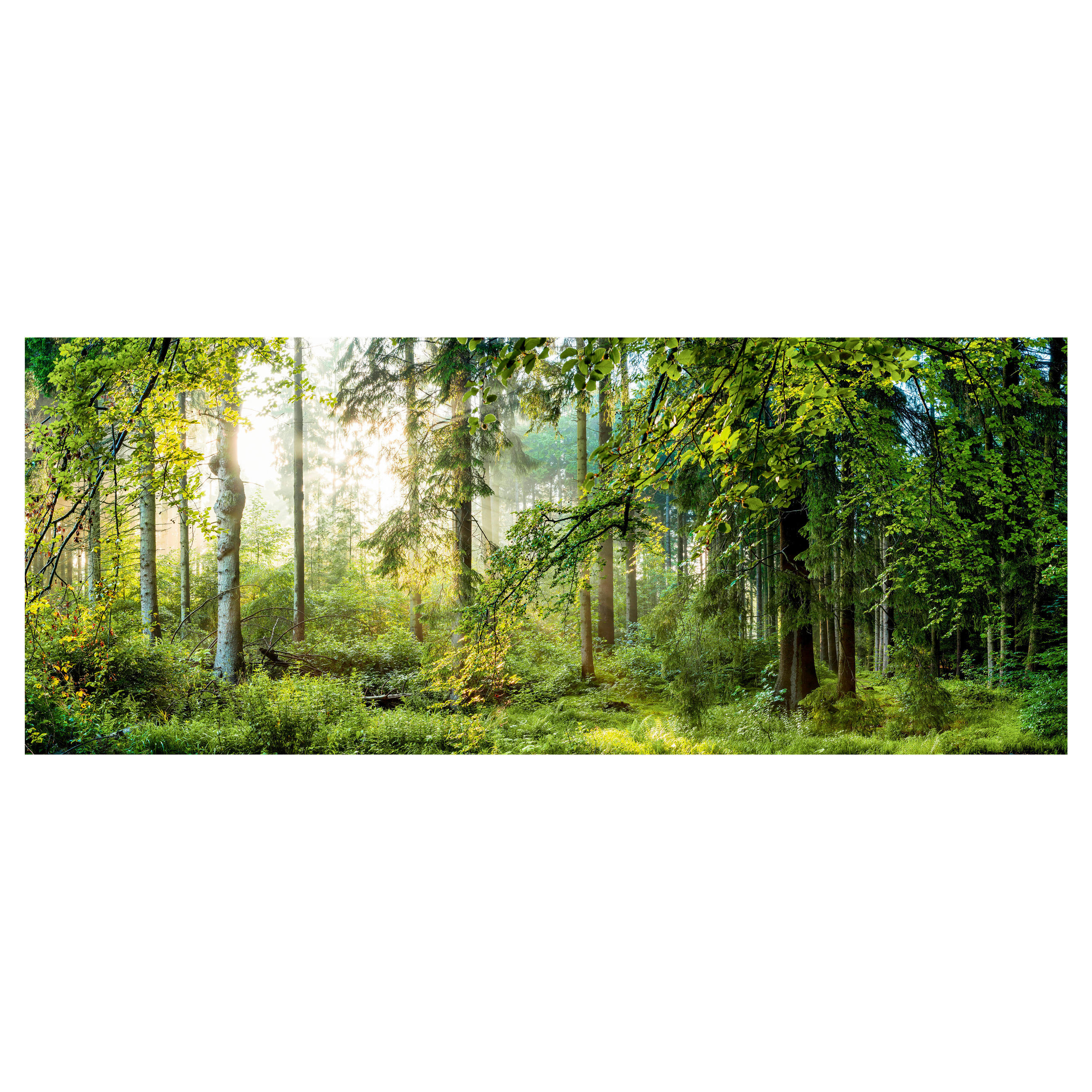 BILD Landschaft & Natur 125/50 cm  - Multicolor, Basics, Glas (125/50cm) - Monee