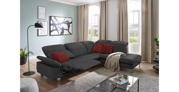 ECKSOFA in Echtleder Grau  - Edelstahlfarben/Grau, Design, Leder/Metall (309/233cm) - Dieter Knoll