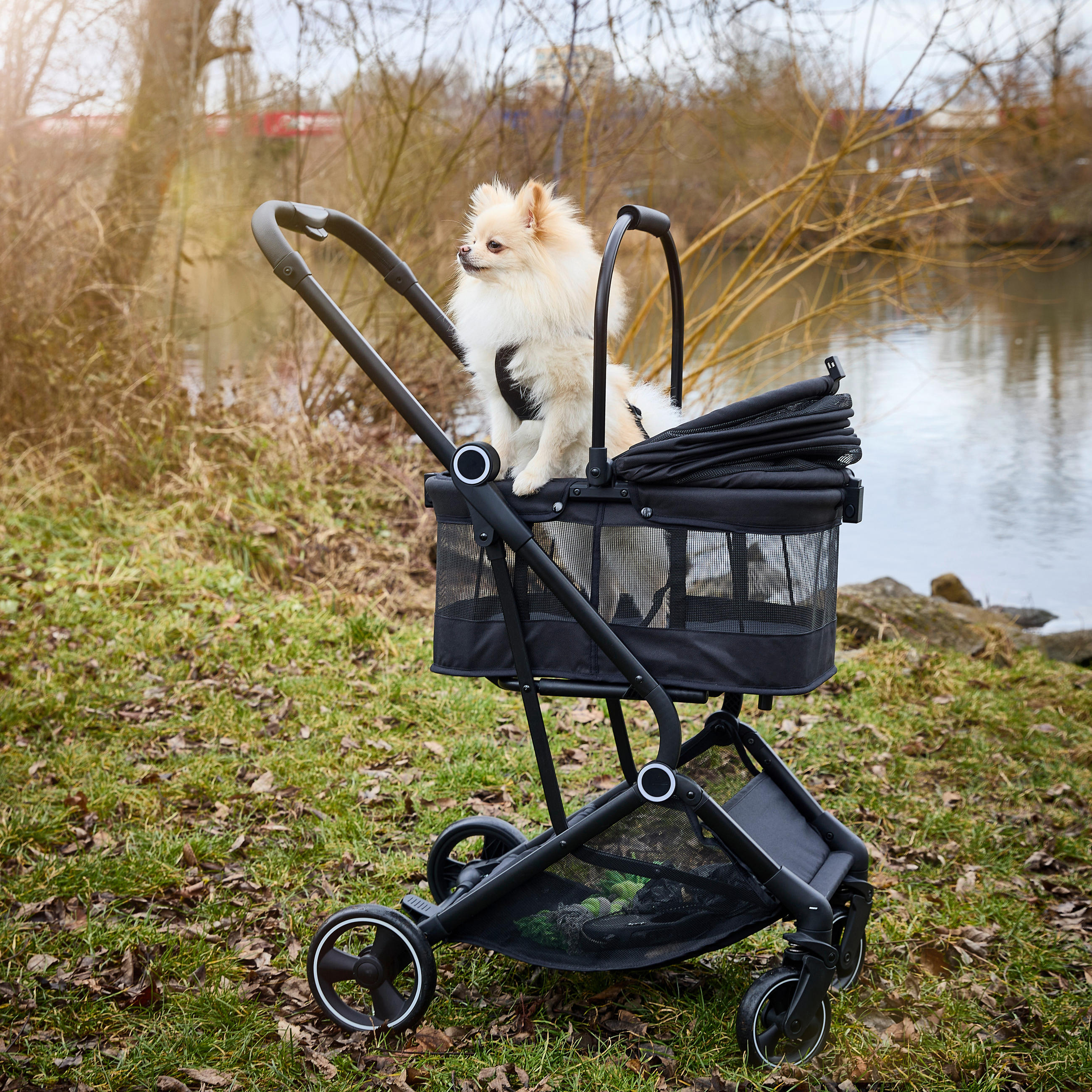 BUGGY Pets  - Schwarz, Basics, Kunststoff/Textil (84.5/50.5/103cm)