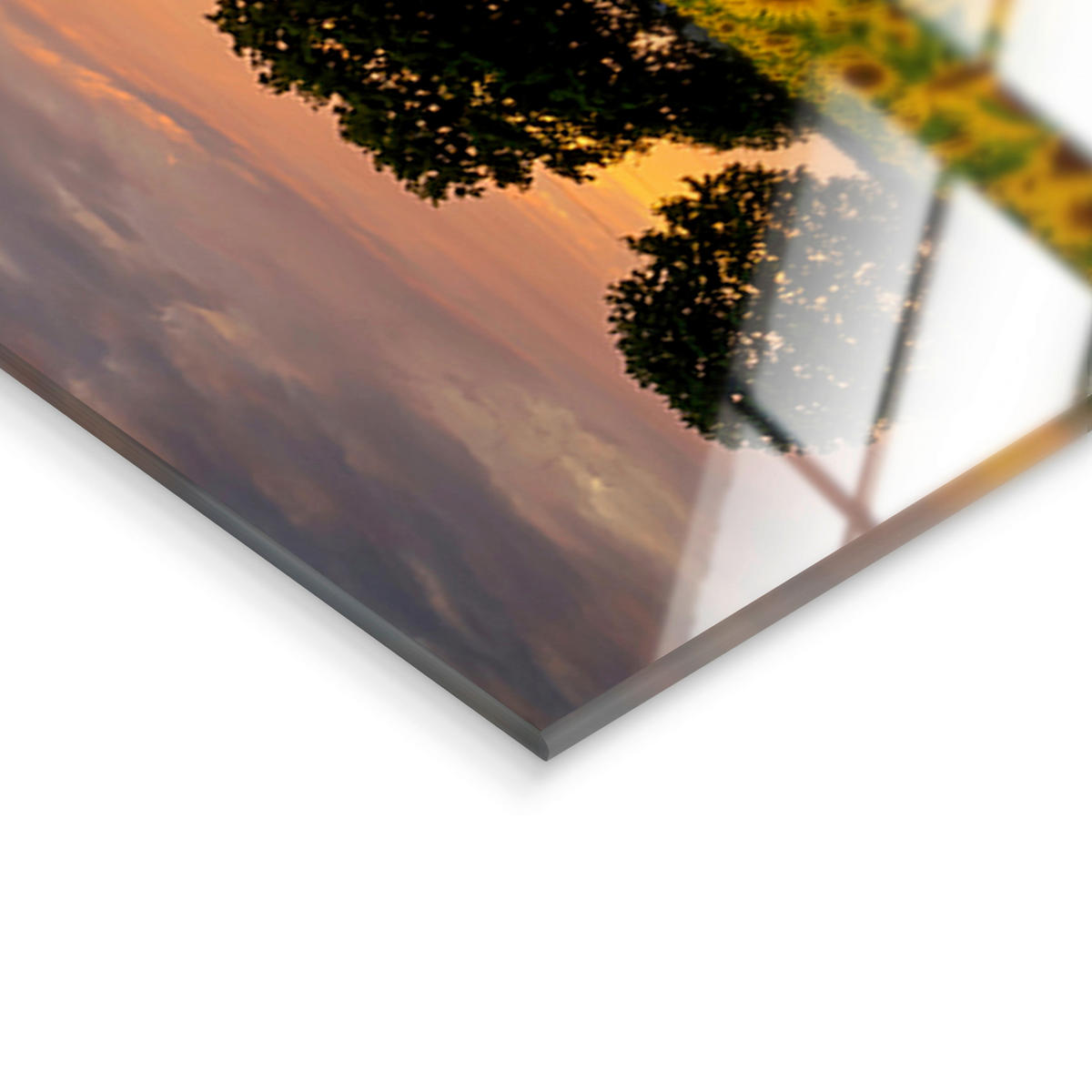GLASBILD Landschaft & Natur 125/50 cm  - Multicolor, Basics, Glas/Papier (125/50cm)