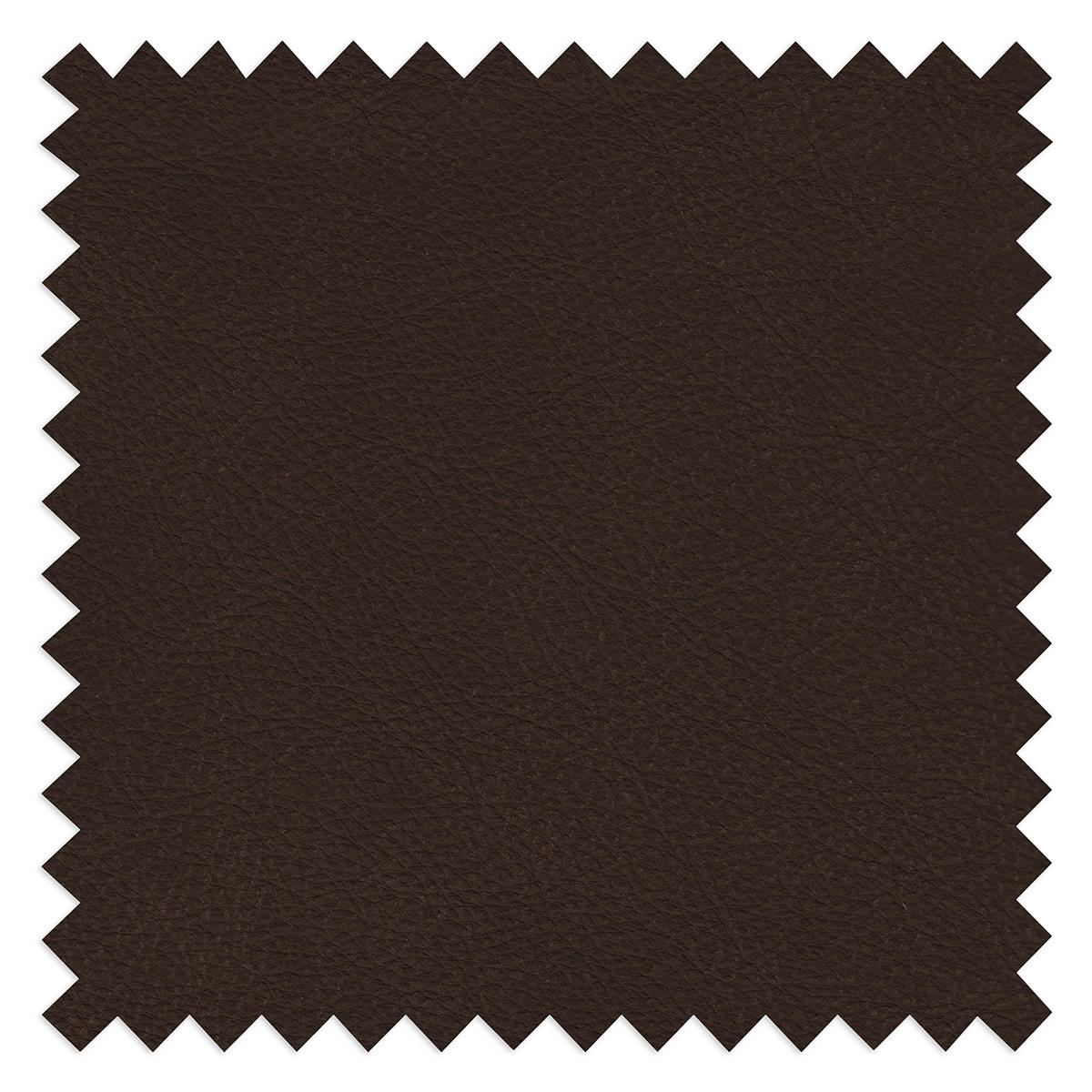 2-SITZER-SOFA  in Echtleder Dunkelbraun   - Dunkelbraun/Beige, Design, Leder/Kunststoff (240/85/123cm) - Livetastic