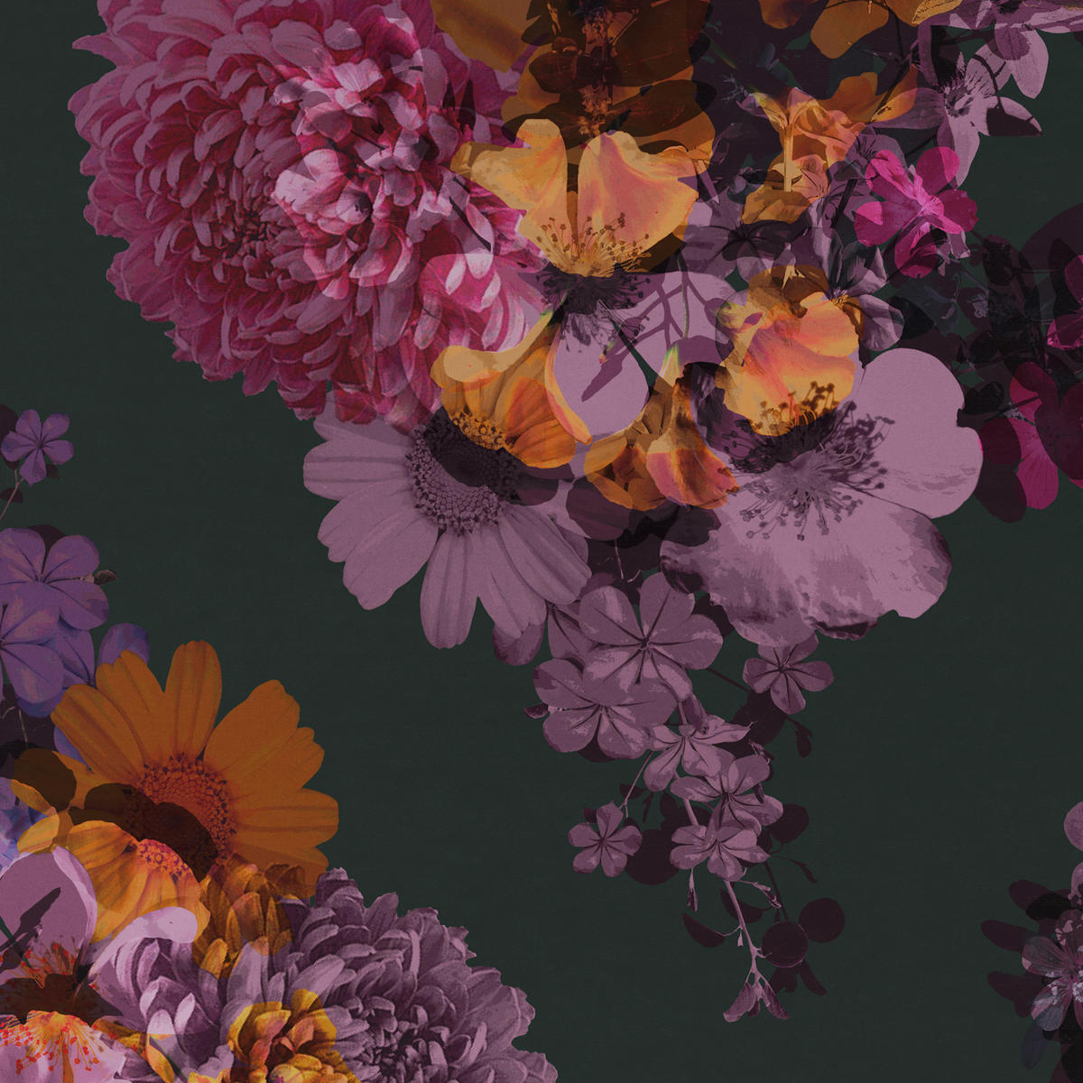 WENDEBETTWÄSCHE 2-teilig Satin 140/200 cm  - Aubergine, KONVENTIONELL, Textil (140/200cm) - Esposa