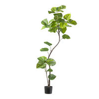 KUNSTPFLANZE 160 cm  - Schwarz/Braun, Design, Kunststoff (160cm) - P & B