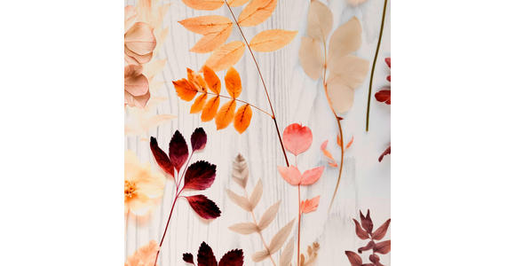 WENDEBETTWÄSCHE Satin 140/200 cm  - Multicolor, Textil (140/200cm) - Novel
