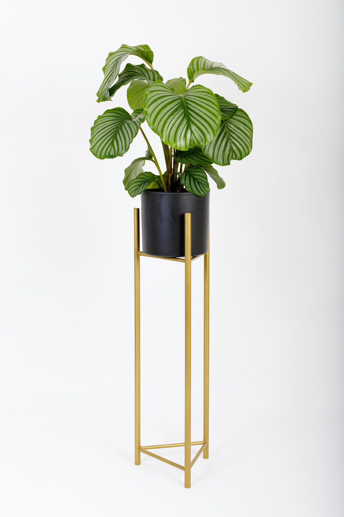 BLUMENSTÄNDER in Metall  - Goldfarben, Basics, Metall (27/75/27cm)