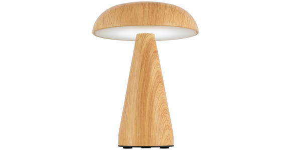 TISCHLEUCHTE - Naturfarben, Trend, Kunststoff/Metall (15,5/21cm) - Novel