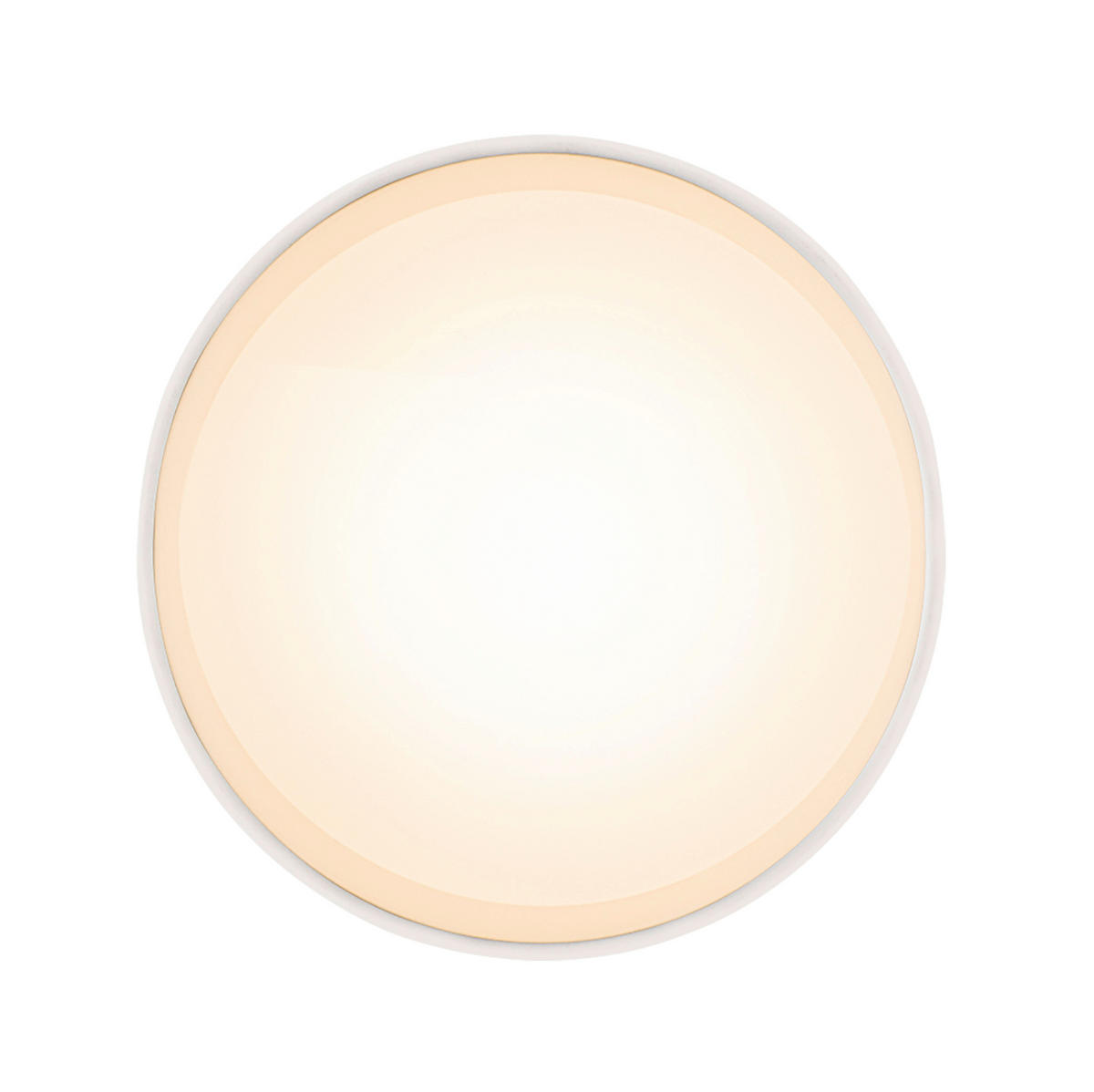 LED-DECKENLEUCHTE 16 W  14/10.5 cm    - Basics, Kunststoff/Metall (14/10.5cm) - Globo