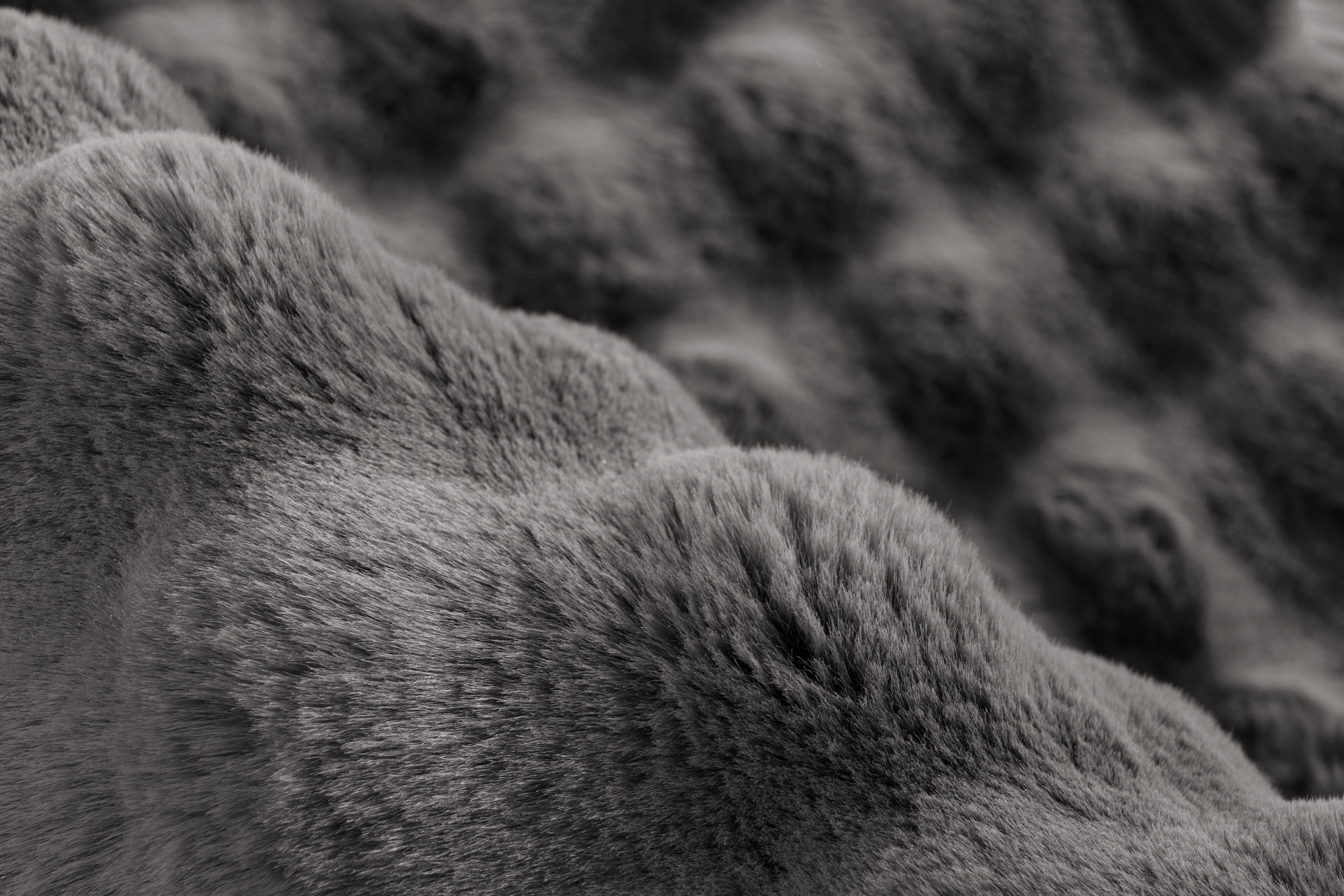 Thumbnail - Kayoom Hochflorteppich Harmony 800 Graphite, Graphit, Textil, Uni, rechteckig, 80x150 cm, pflegeleicht, Teppiche & Böden...