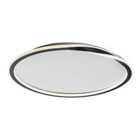 LED PLAFONJERA MATHIOLA  - bela/crna, Osnovno, metal/plastika (56/6cm)