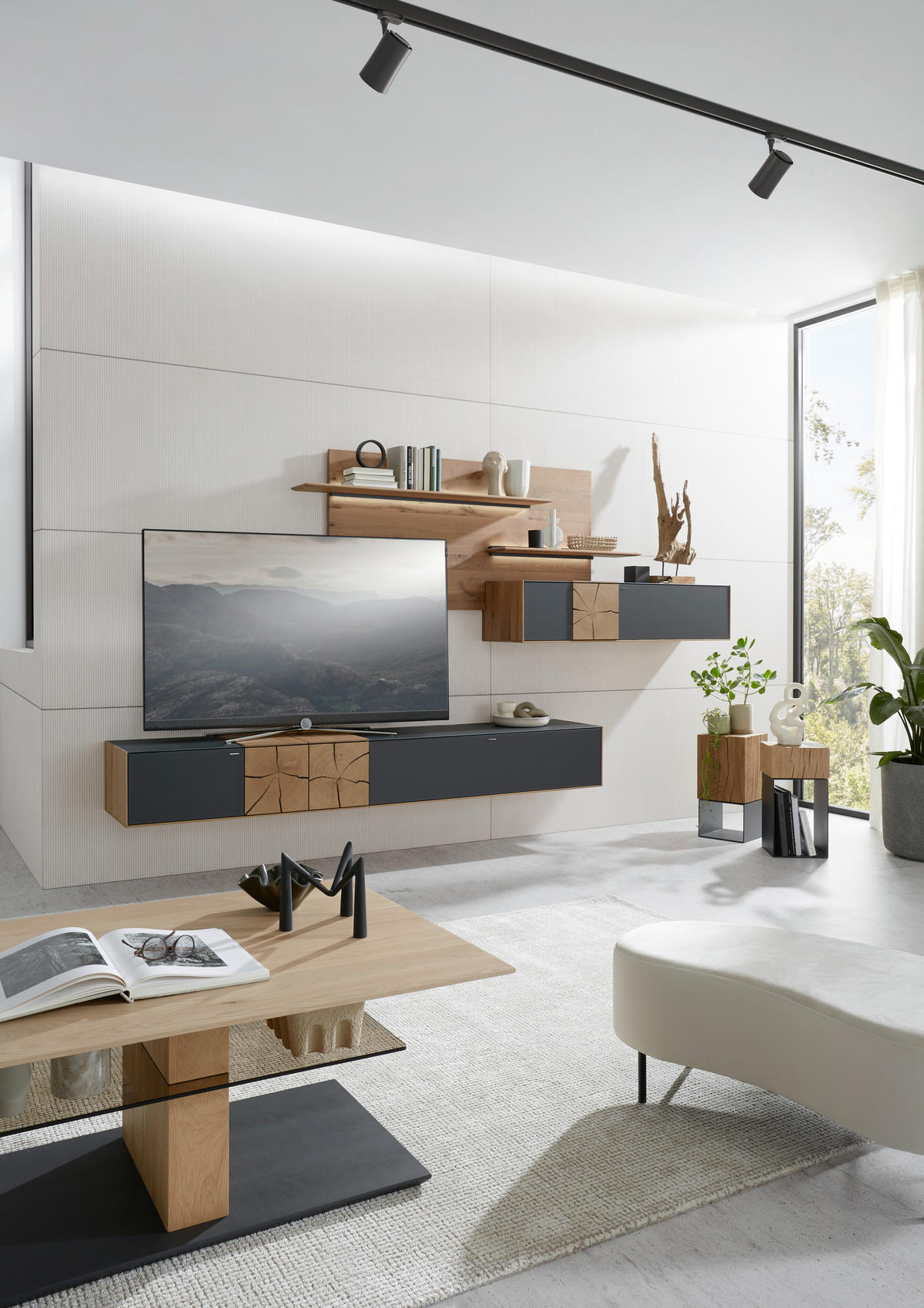 WOHNWAND  in Anthrazit, Eichefarben  343/196/44 cm  - Eichefarben/Anthrazit, Design, Glas/Holz (343/196/44cm) - Valnatura