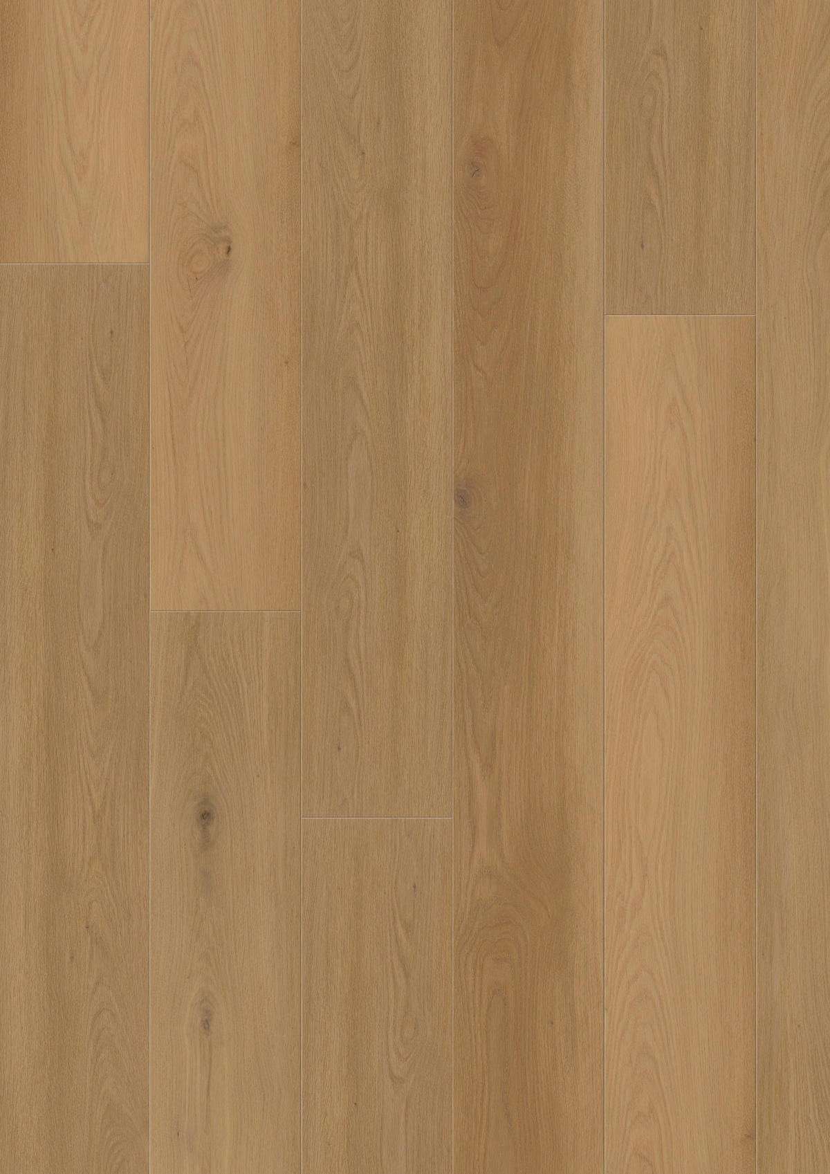 VINYLBODEN GRANDO Eiche Suma 100065301  per  m² - Eichefarben, Design, Holzwerkstoff (184/21,6/1cm) - Tilo