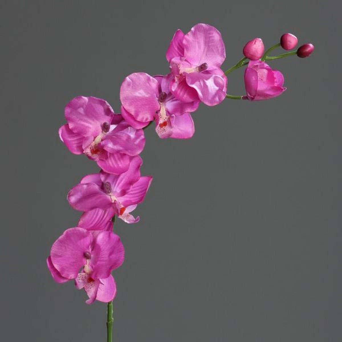 KUNSTBLUME - Lila, Basics, Kunststoff/Textil (72cm)