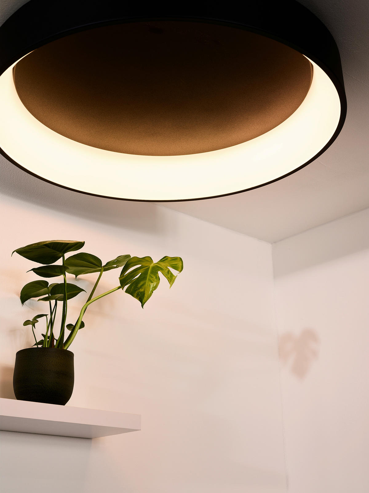 LED-DECKENLEUCHTE 80 W    80/80/13 cm  - Schwarz, Modern, Metall (80/80/13cm) - Lucide
