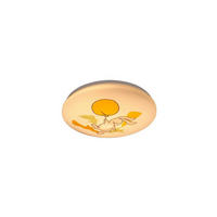 DETSKÉ STROPNÉ LED SVIETIDLO, 37.5/5.5 cm  - viacfarebná/biela, Basics, kov/plast (37.5/5.5cm)