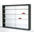 HÄNGEVITRINE Schwarz, Weiß - Schwarz/Weiß, Design, Glas/Holzwerkstoff (80/60/10cm) - CARRYHOME