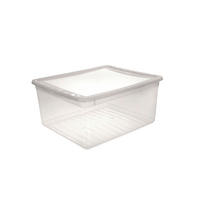 DOBOZ TETŐVEL  - áttetsző, Basics, műanyag (39cm)