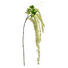KUNSTBLUME - Creme/Grün, Basics, Kunststoff (100cm) KUNSTBLUME - Creme/Grün, Basics, Kunststoff (100cm)