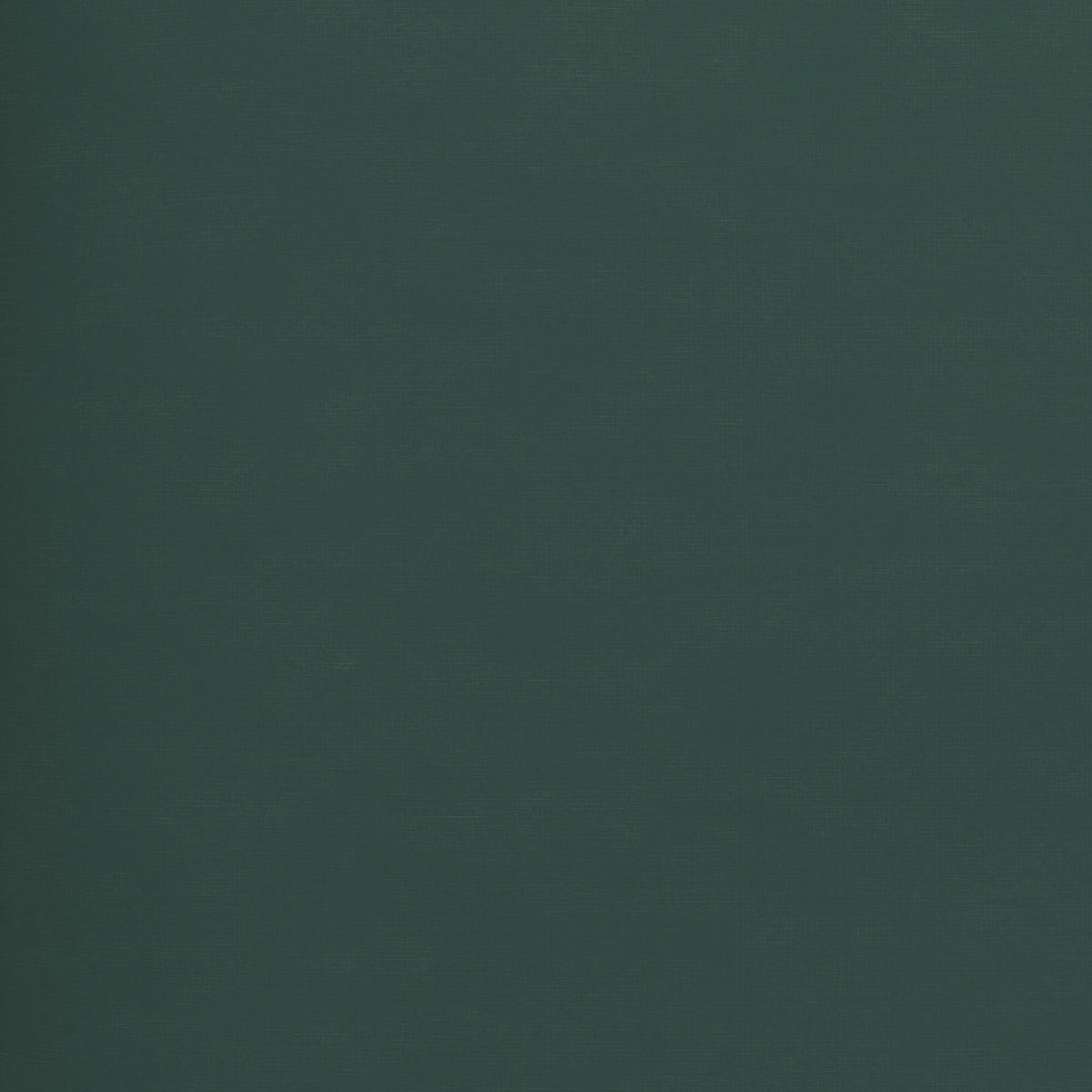 BETTWÄSCHE 135/200 cm  - Dunkelgrün, Textil (135/200cm) - Esposa